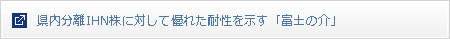 県内分離IHN株に対して優れた耐性を示す「富士の介」