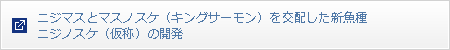 ニジマスとマスノスケ（キングサーモン）を交配した新魚種ニジノスケ（仮称）の開発