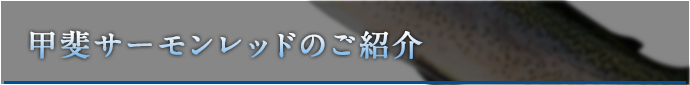 甲斐サーモンレッドのご紹介