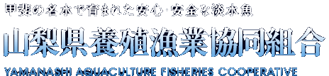 甲斐の名水で育まれた安心・安全な淡水魚 山梨県養殖漁業協同組合 YAMANASHI AQUACULTURE FISHERIES COOPERATIVE